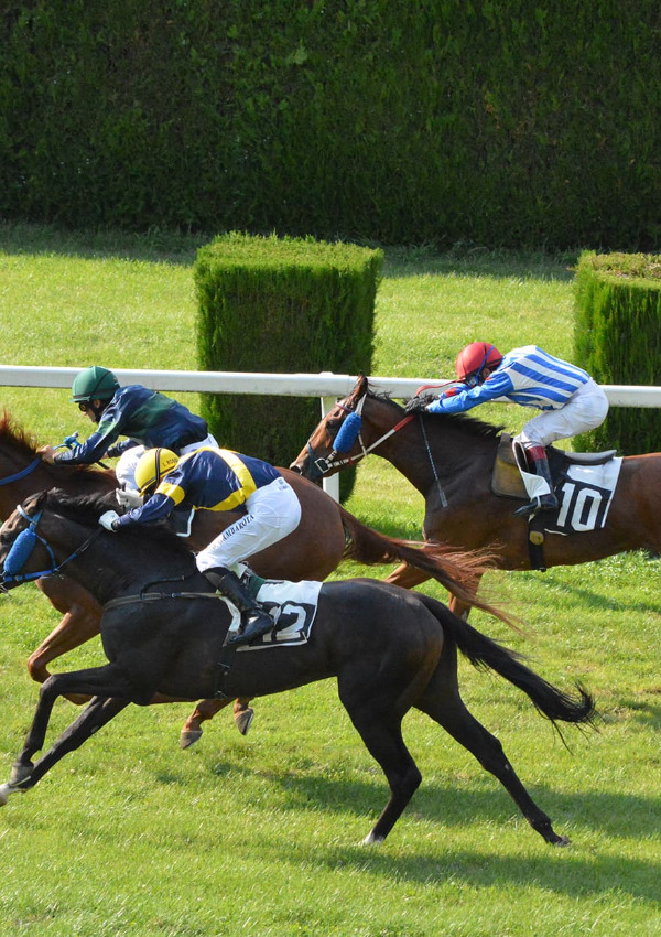 Hippodrome races of Merano