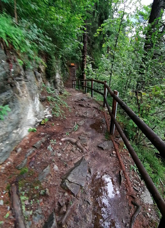 Slide 4