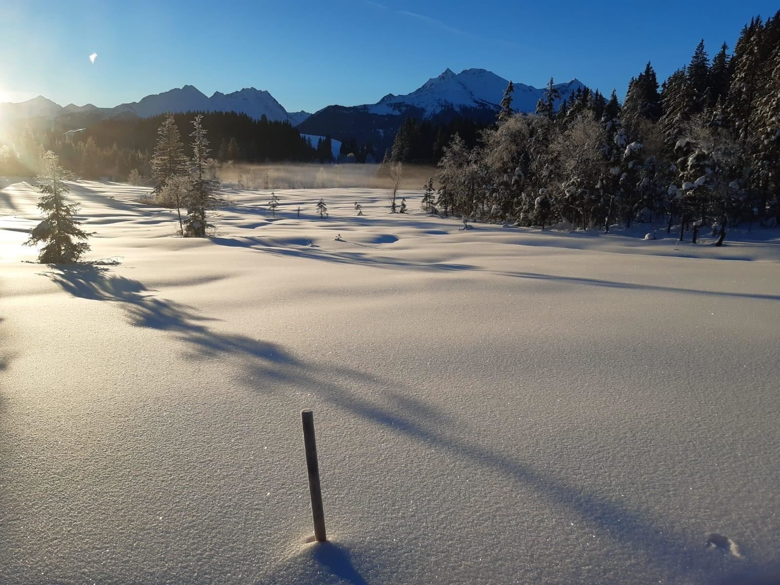 Guided snowshoe hike on the high moor