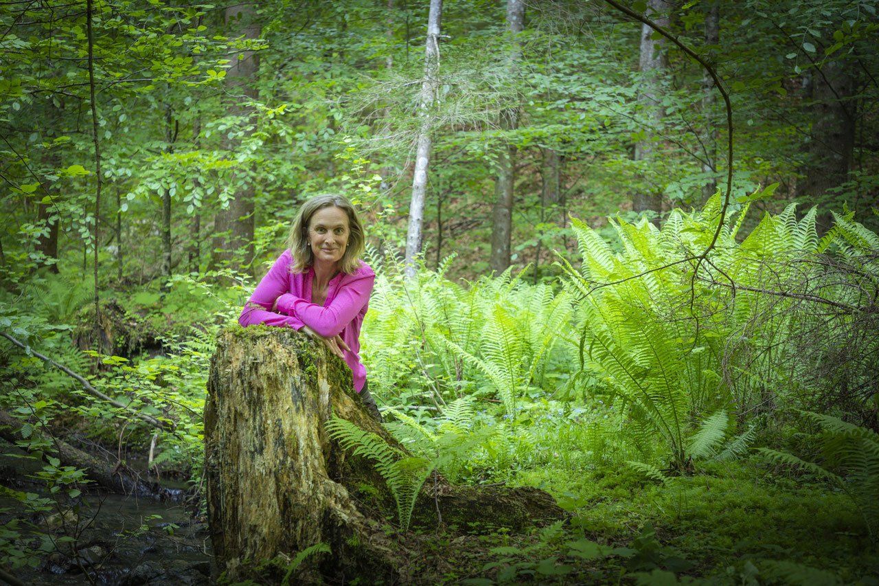 "Forest bathing - immerse yourself in the forest with all your senses" - Join the experienced forest therapy guide and nature coach Barbara Wiegele for "forest bathing" in our mountain forest *
