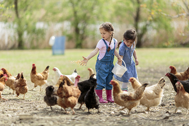 KUNOS KIDS CLUB - 🐓 Bauernhofbesuch – Hühner, Hasen & Co entdecken