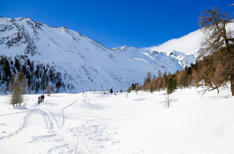 Ciaspolata alla malga “Berglalm” nella Val Senales image