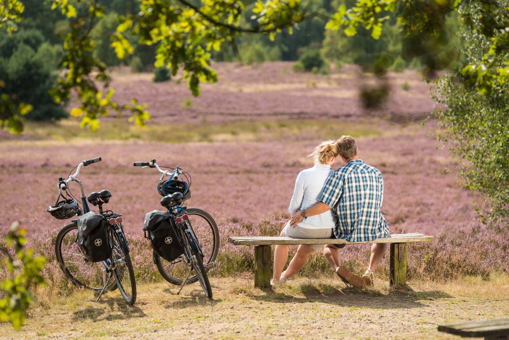 Cycling around Celle & the Südheide