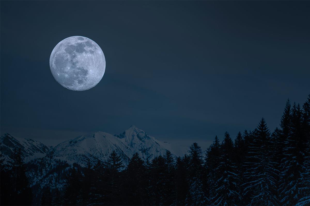 Adventure in the Modschein - guided snowshoe hike