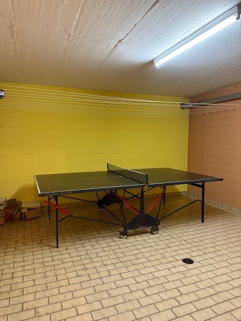 Table tennis table