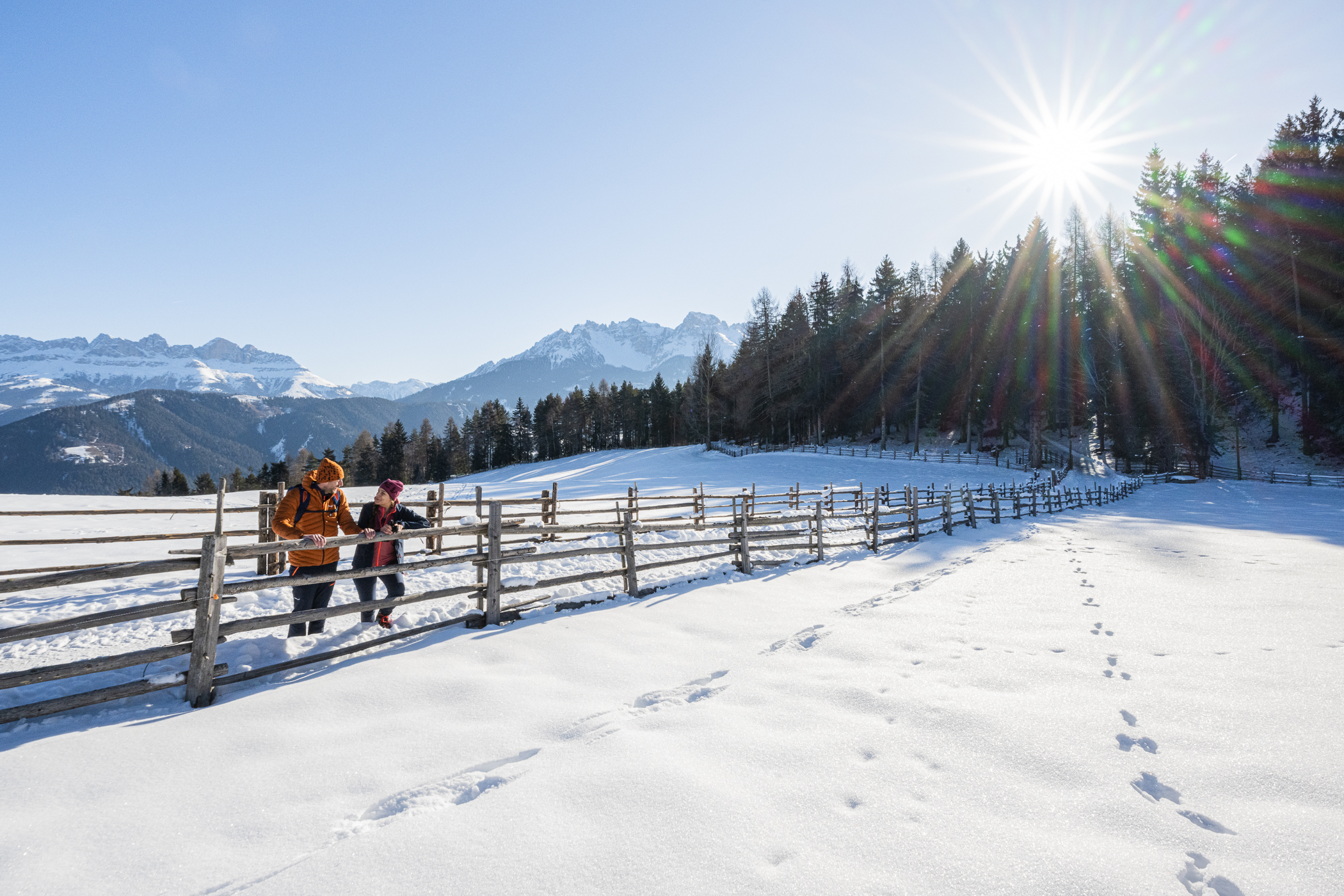 On a discovery hike in winter
