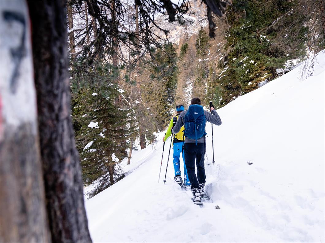 Winter-/Schneeschuwanderung im Latemargebiet
