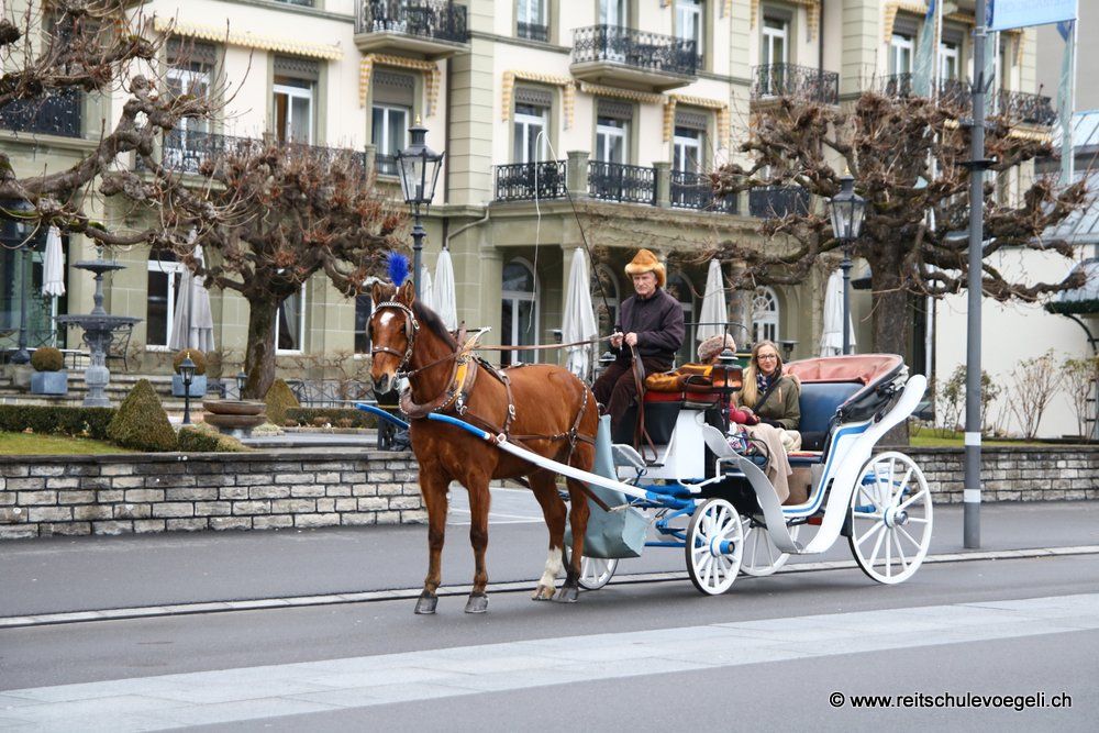 Promenade en calèche
