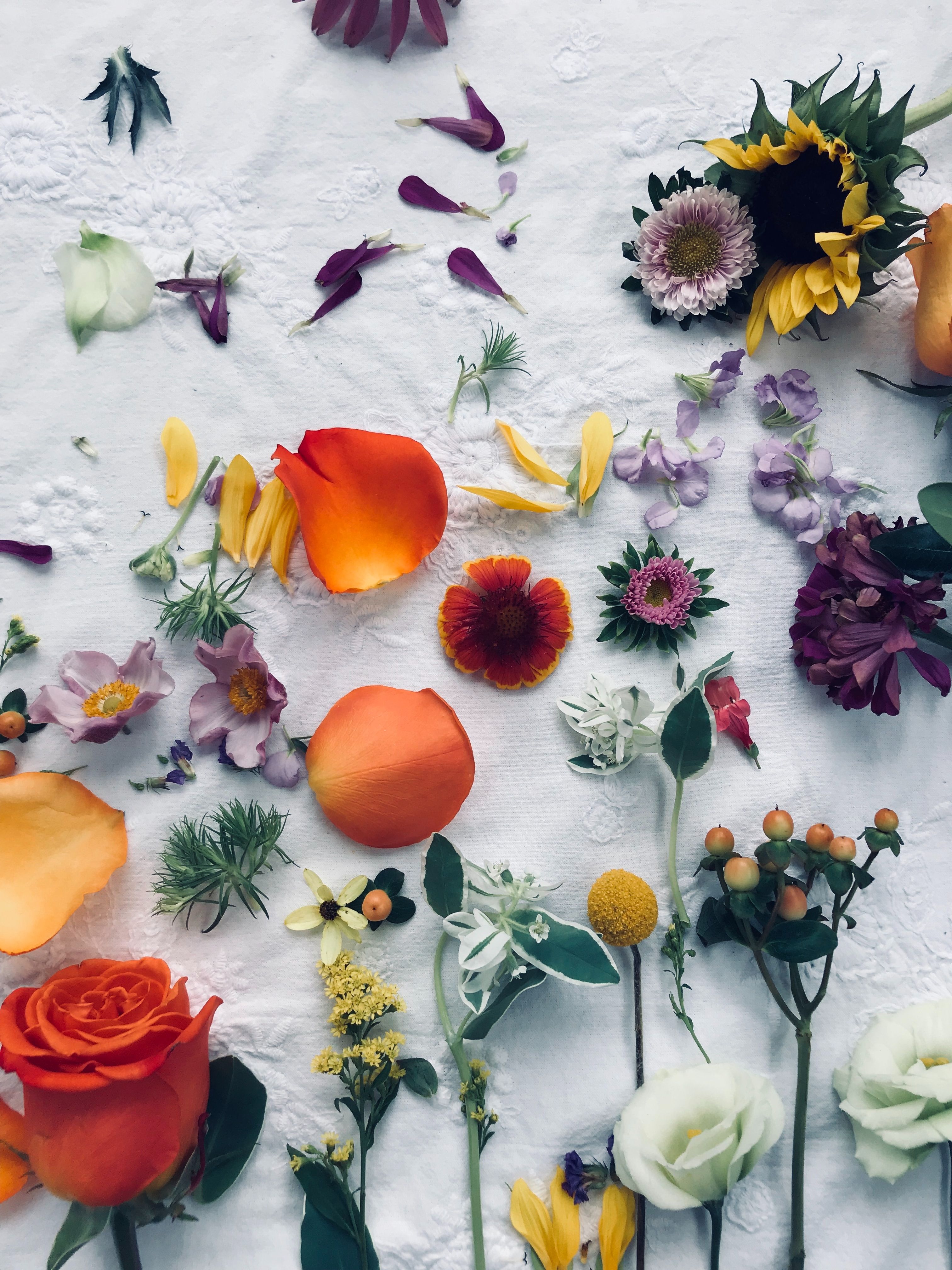 Art floral