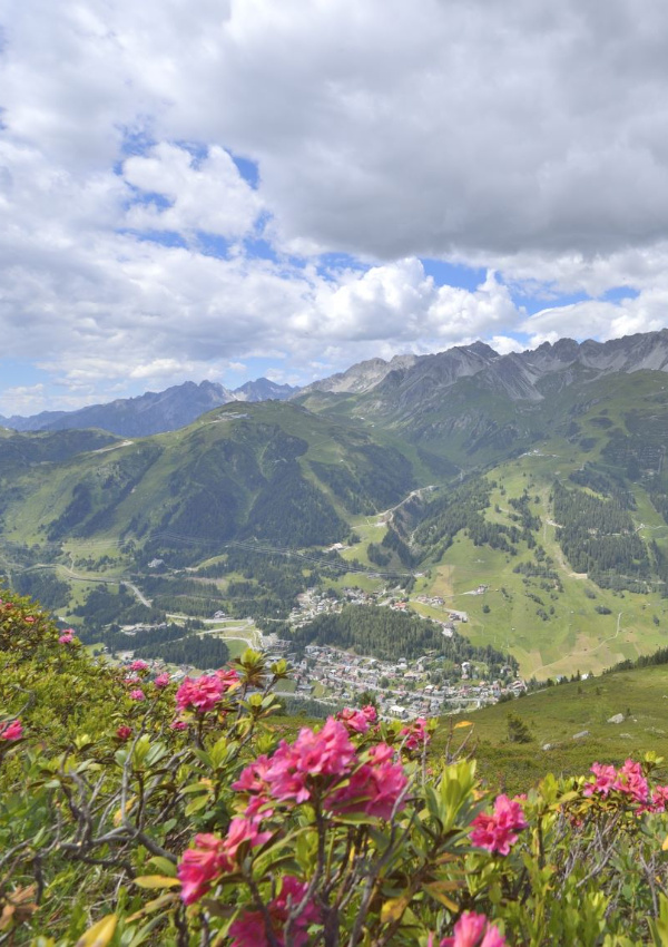 Flower and herb hike