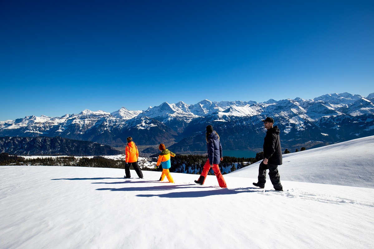 Niederhorn - Le pays des randonnées hivernales !