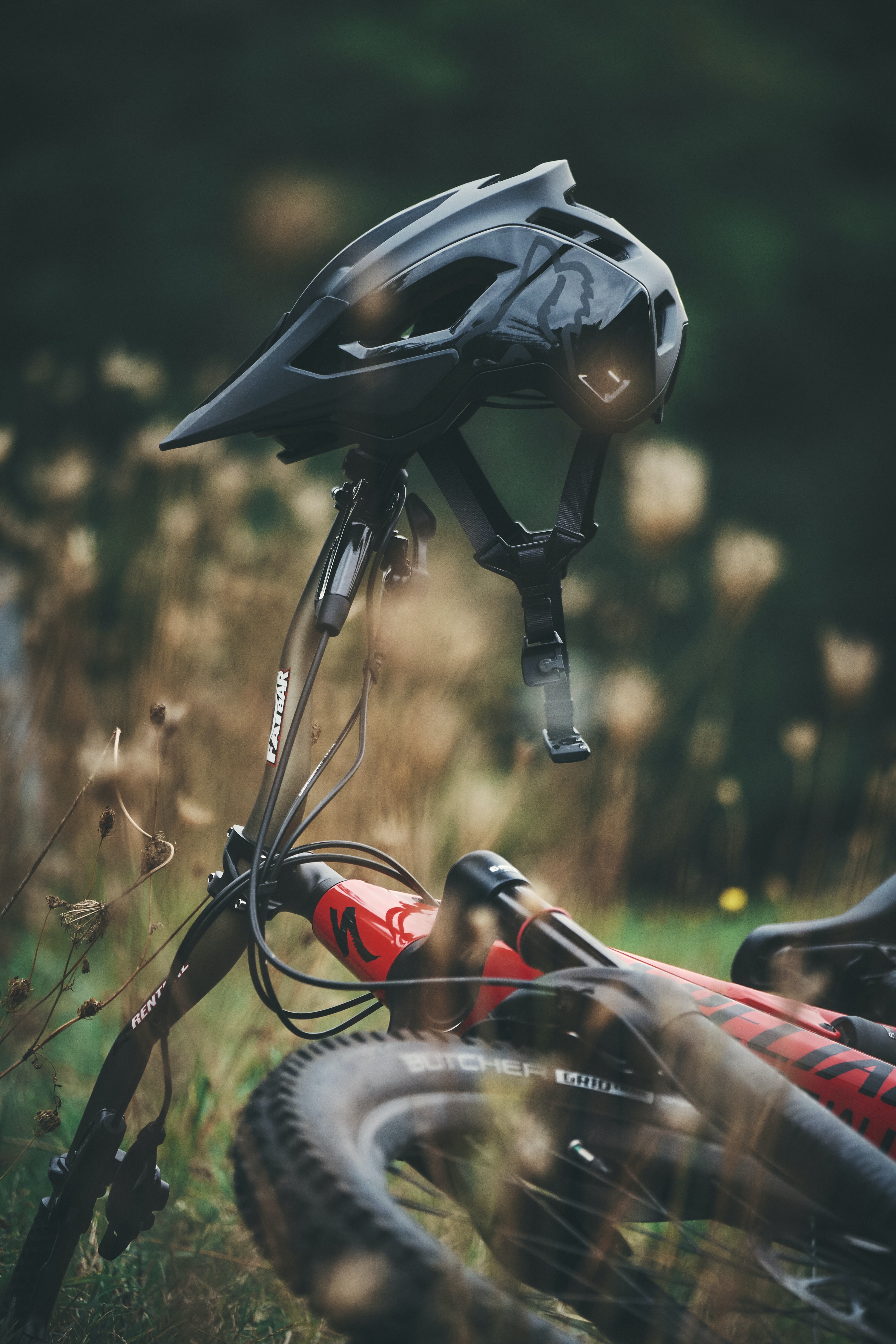 Noleggio di biciclette elettriche