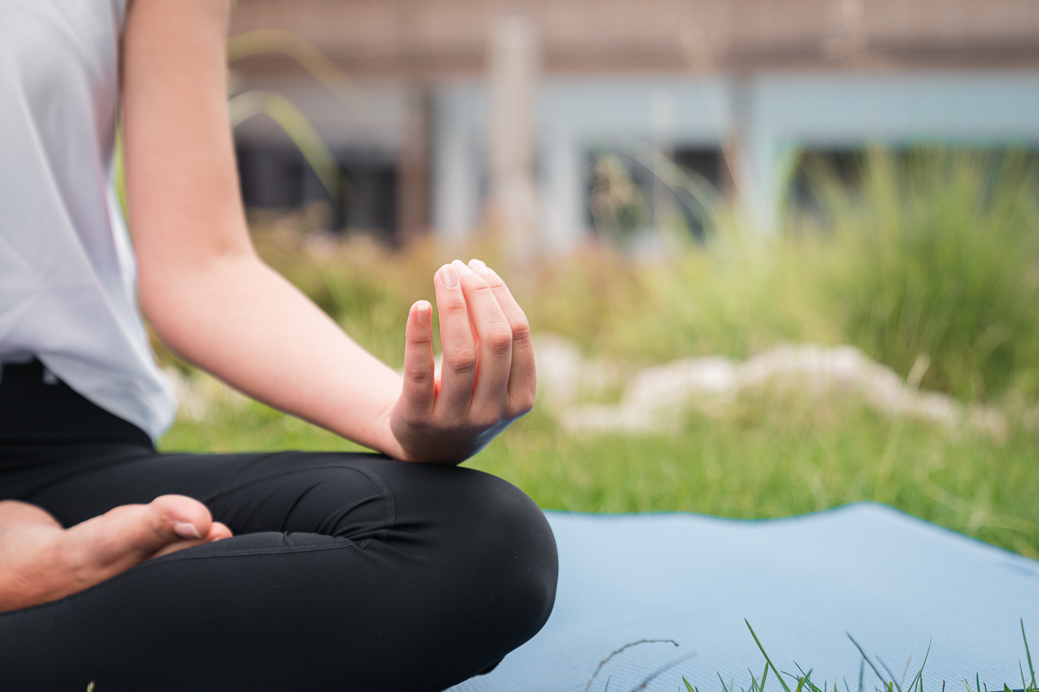 Mindfulness training (adults & children from 7 years)