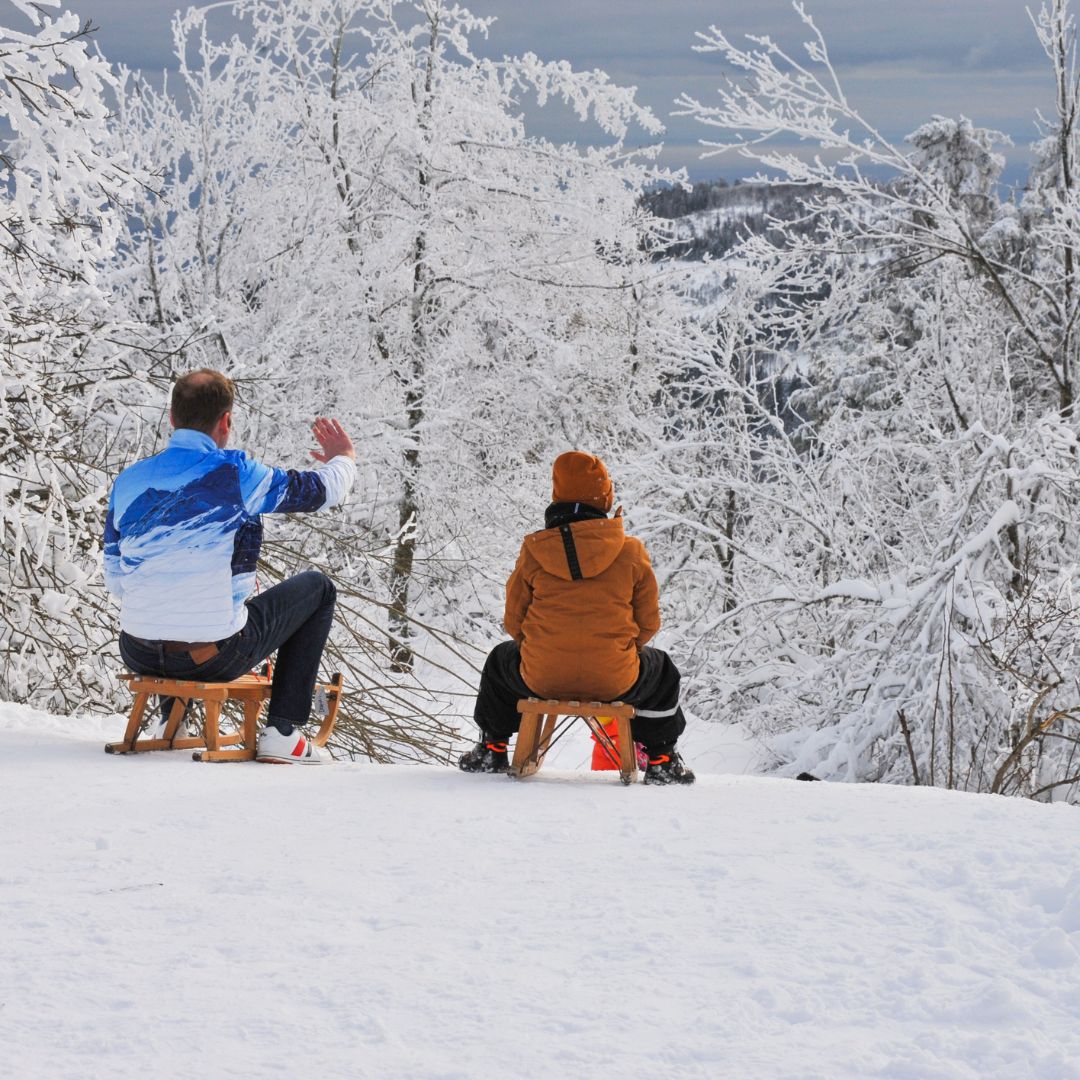 
Gogles Alm toboggan run