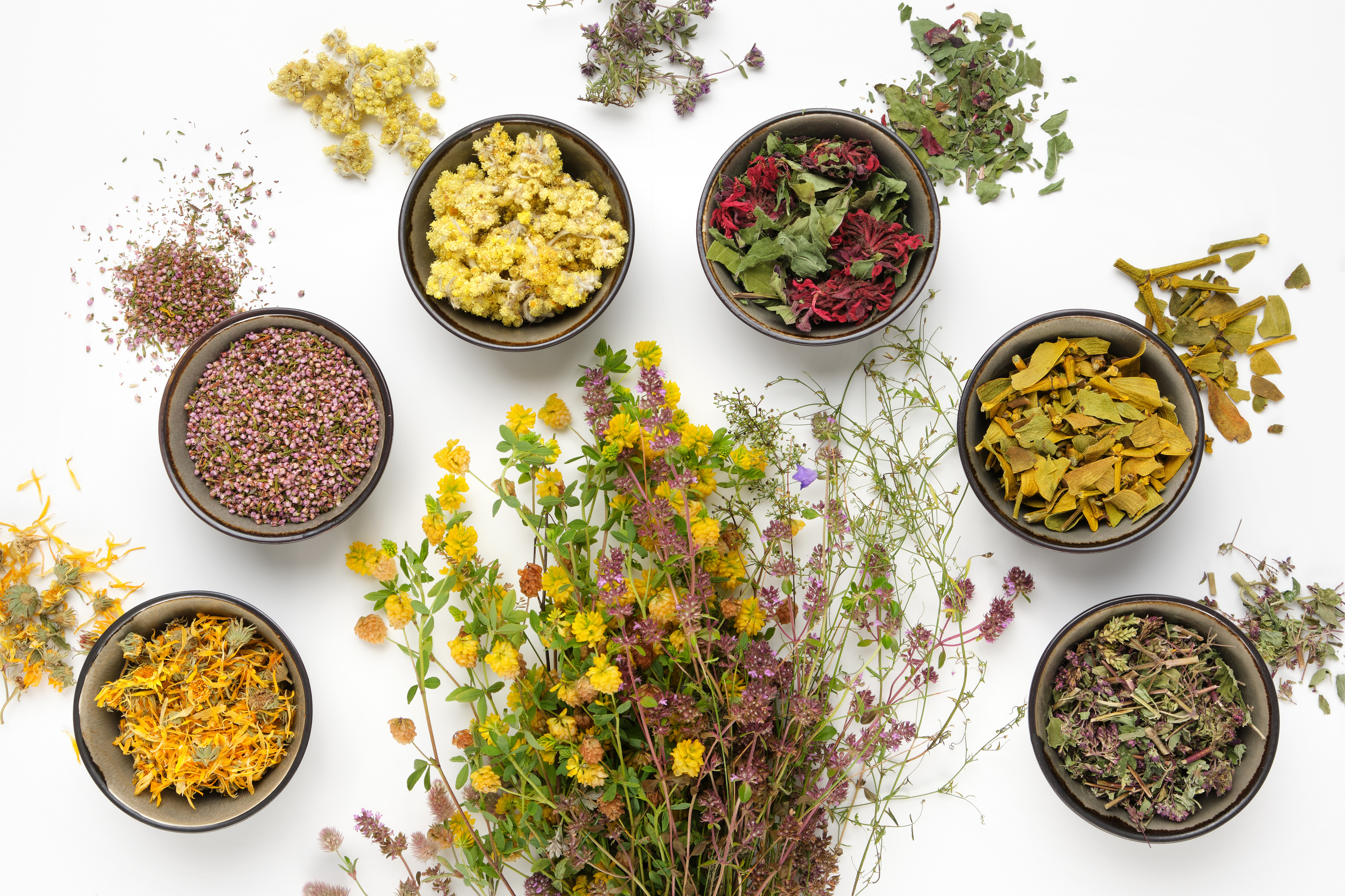 Naturopathy & Organetics