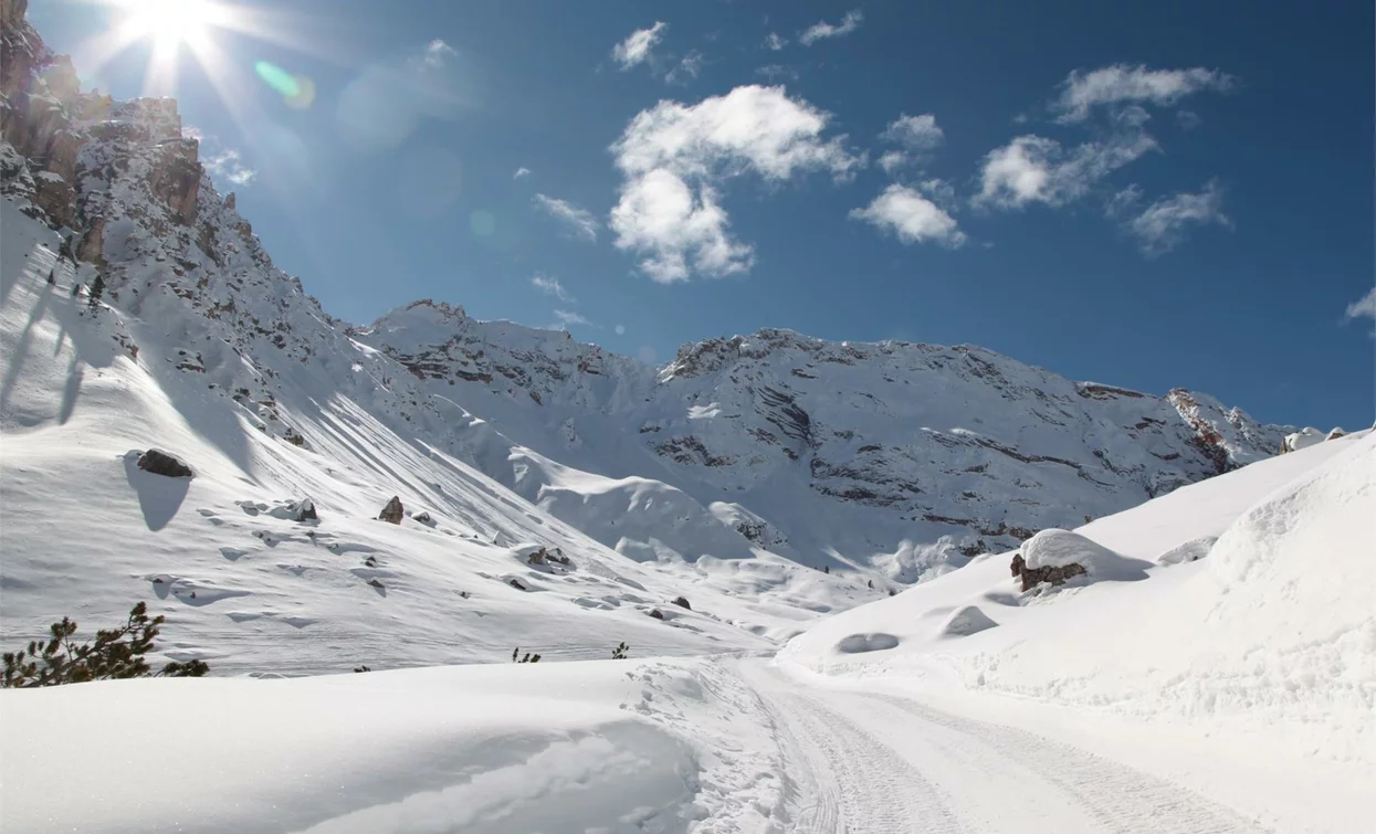 Guided hike to the Fanes Alm
