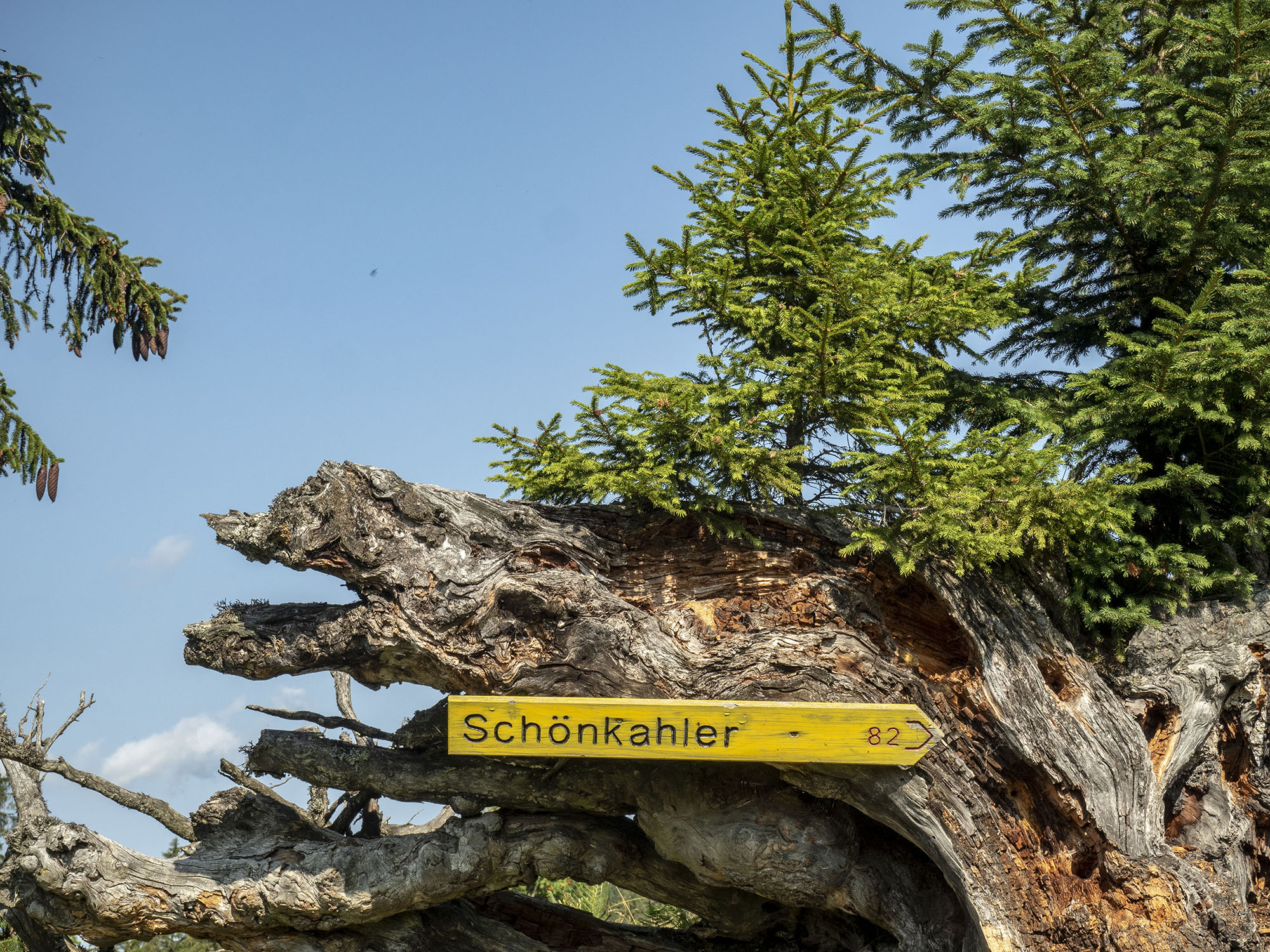  Schönkahler 1688 m - geführte Wandertour