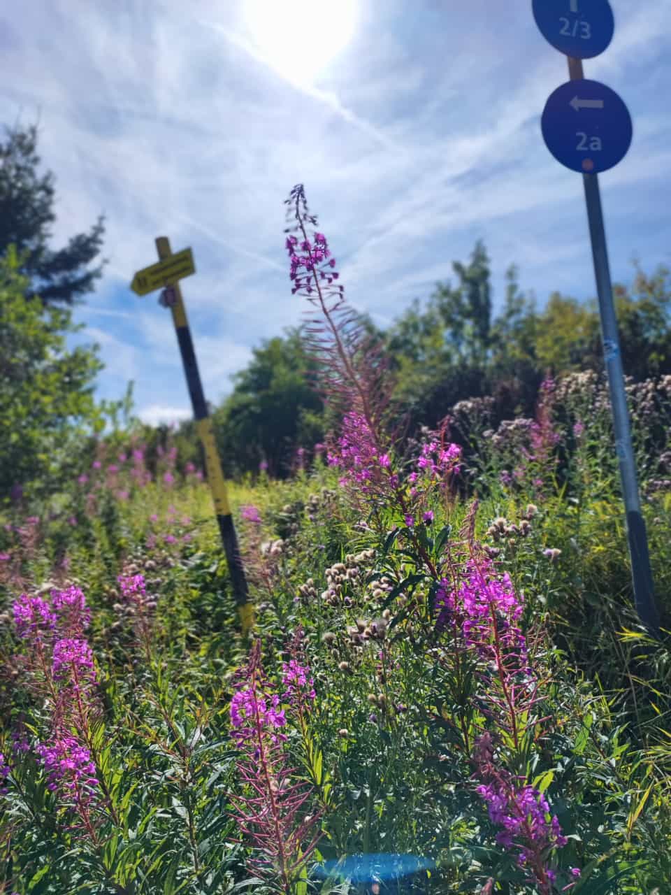 Rathaushotels Sommer Tour 2: Unser herrliches Naturschutzgebiet Zechengrund