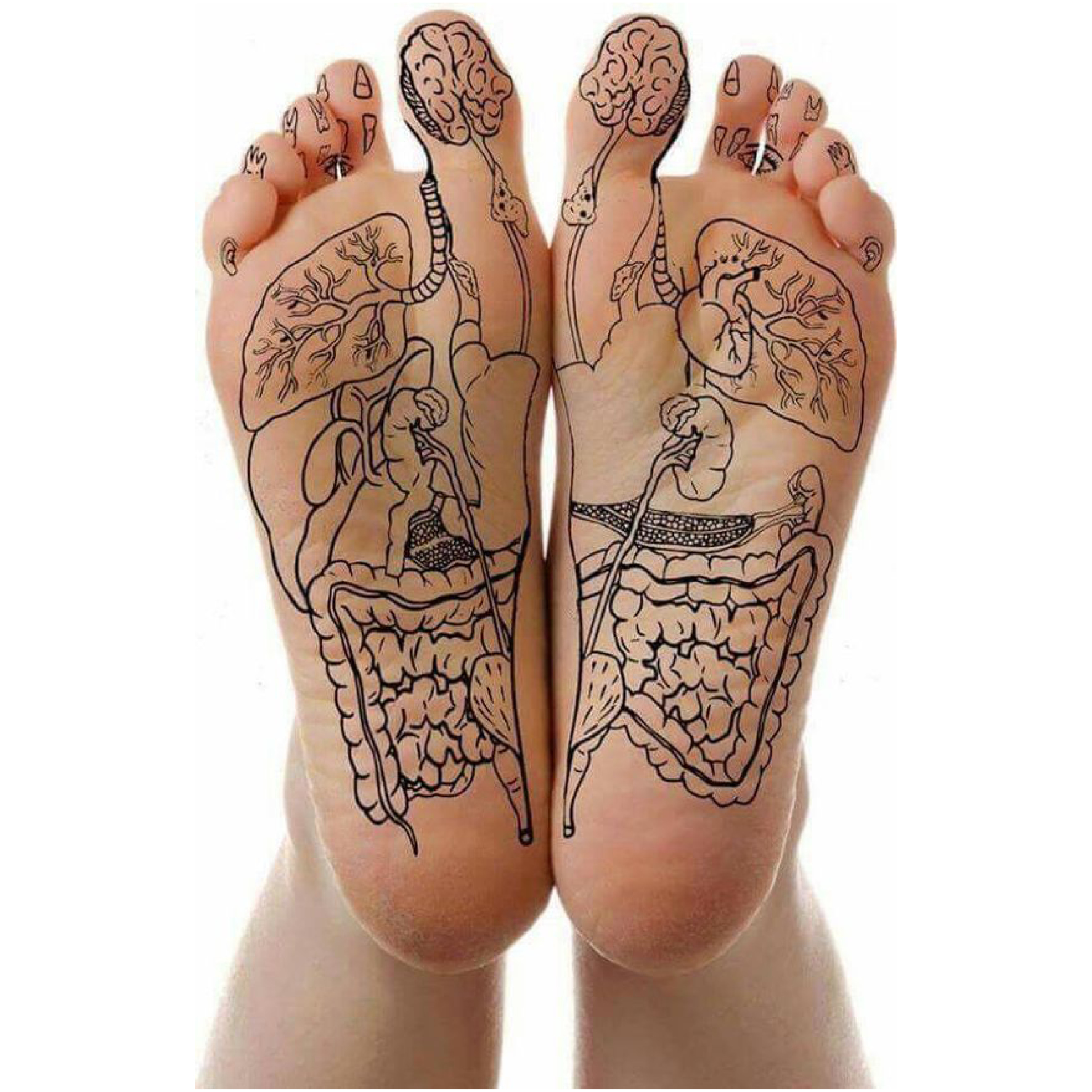 Foot reflexology
massage