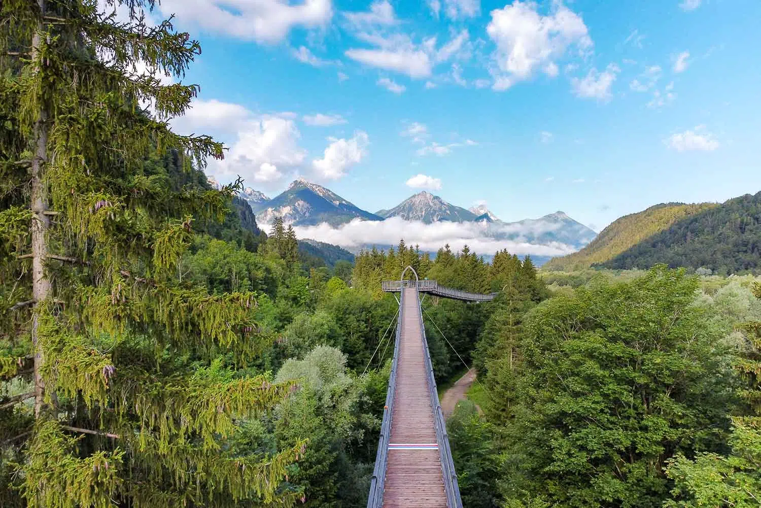 Adventure in the countryside: Füssen Forest Adventure Center