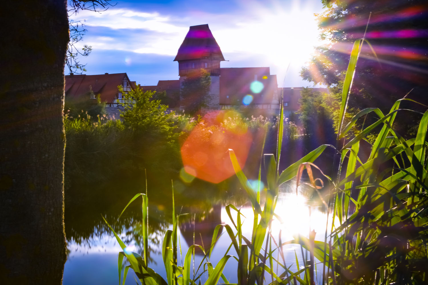 Experience Dinkelsbühl - guided tour through the historic old town