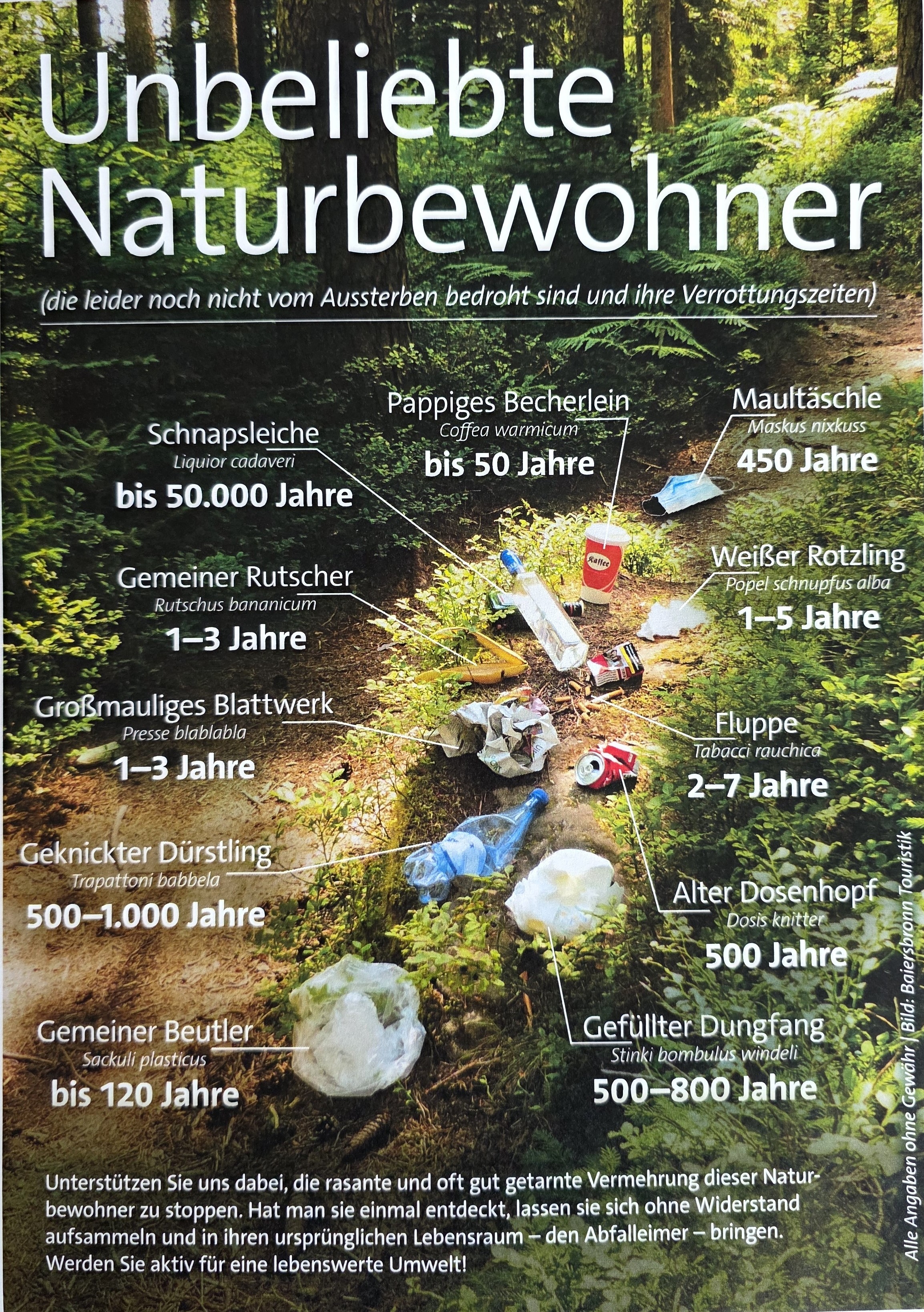 CleanUp Day – Working Together for a Cleaner Environment