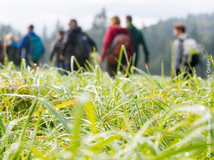 Kurzer Streifzug durch die "Heilkräfte der Natur"