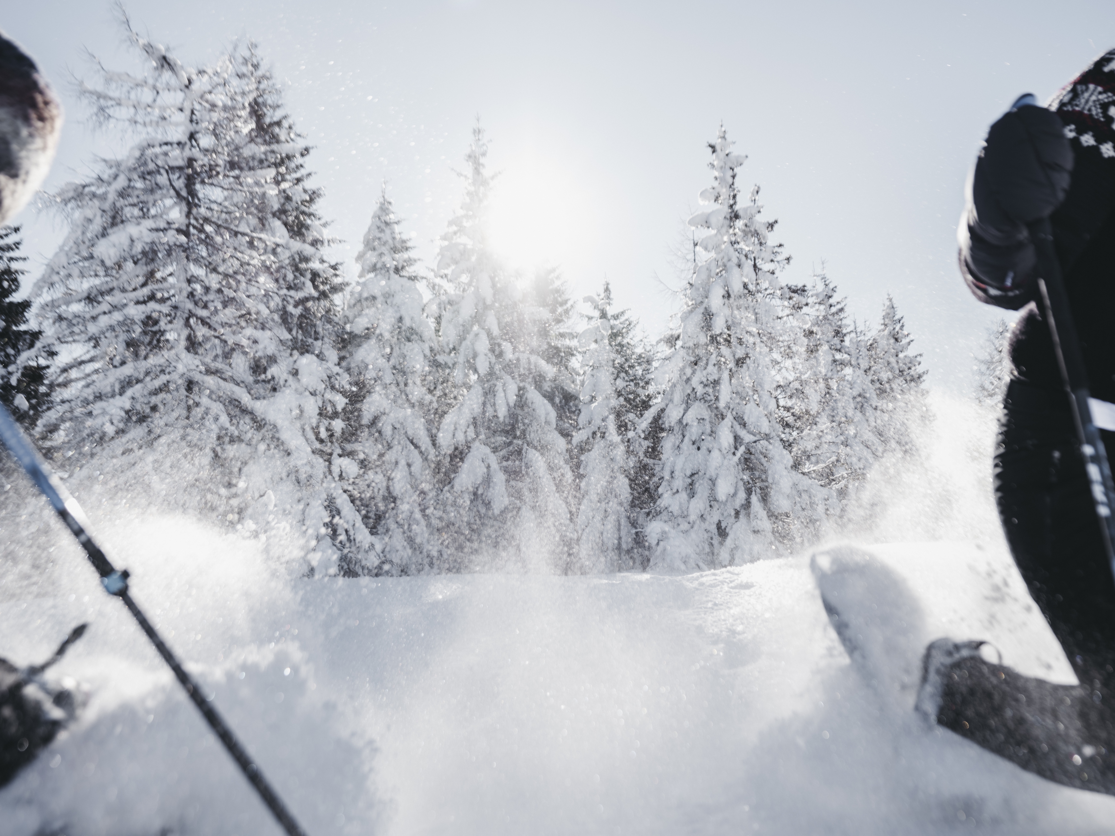 DIY Schneeschuhwanderung 