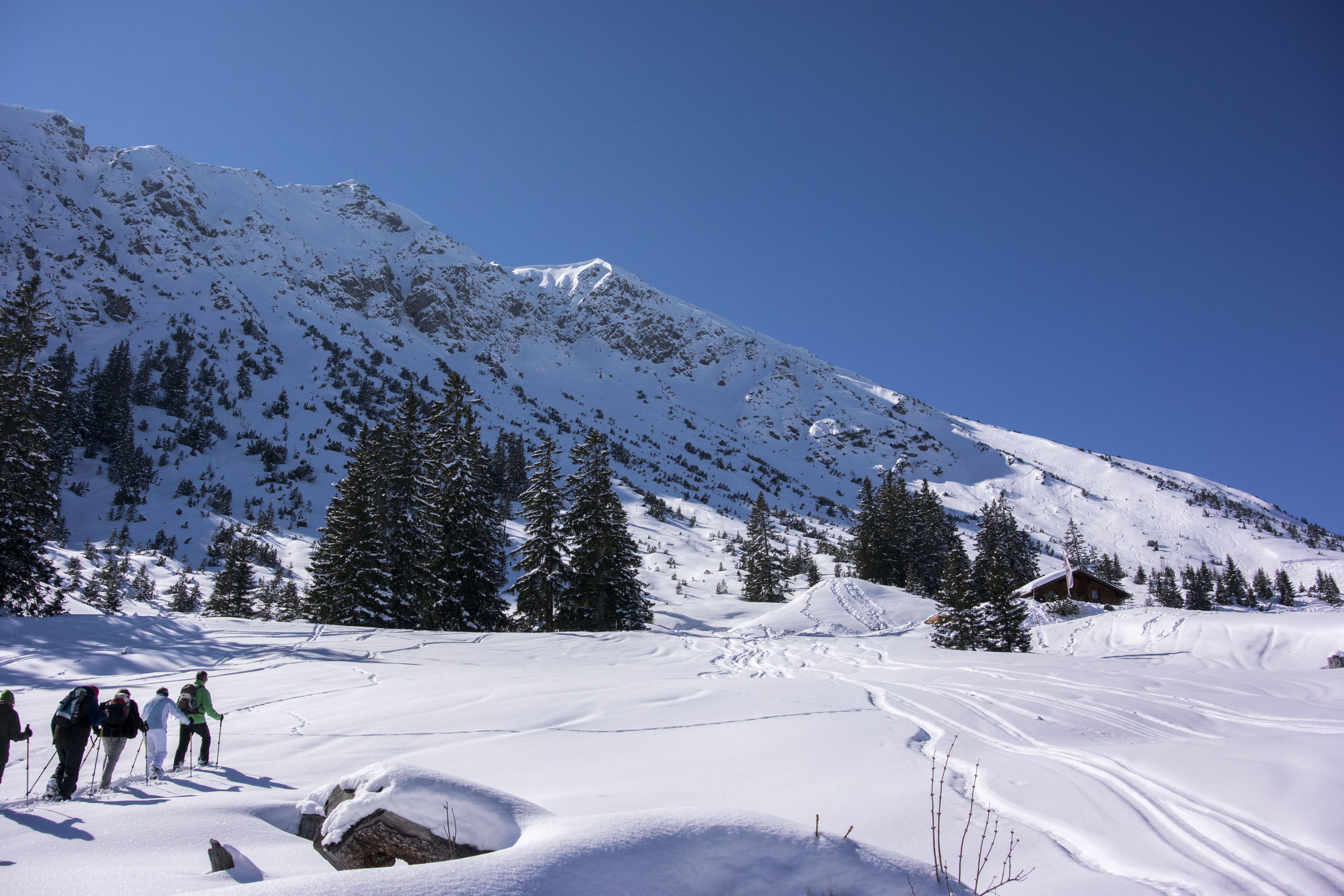 Schneeschuhwanderung Krinnenalm