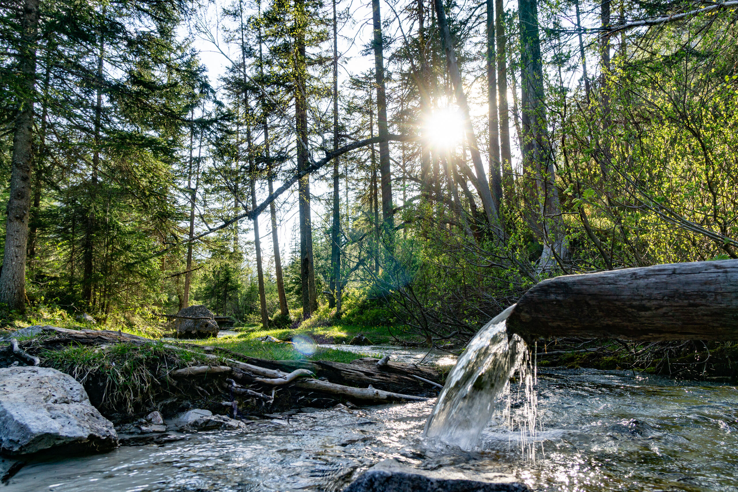 Hike to the source of the Isar & Kastenalm
