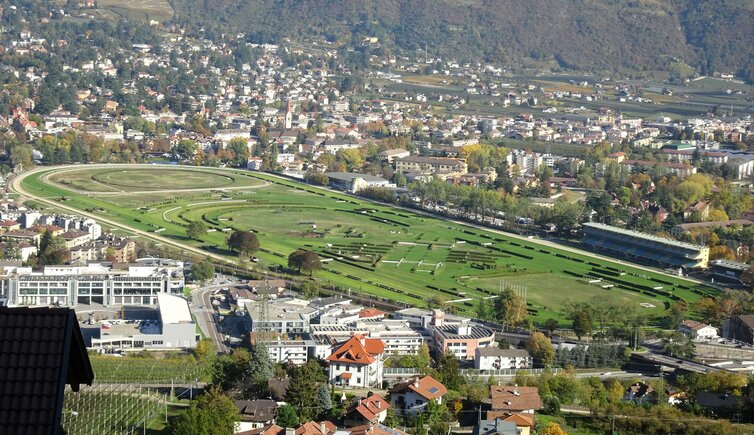 Gara di galoppo all’ippodromo image