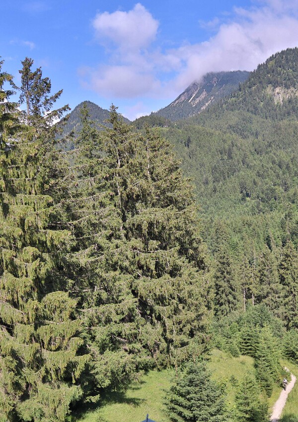 Your nature hotel in the Tannheimer Valley - 100 % nature resort