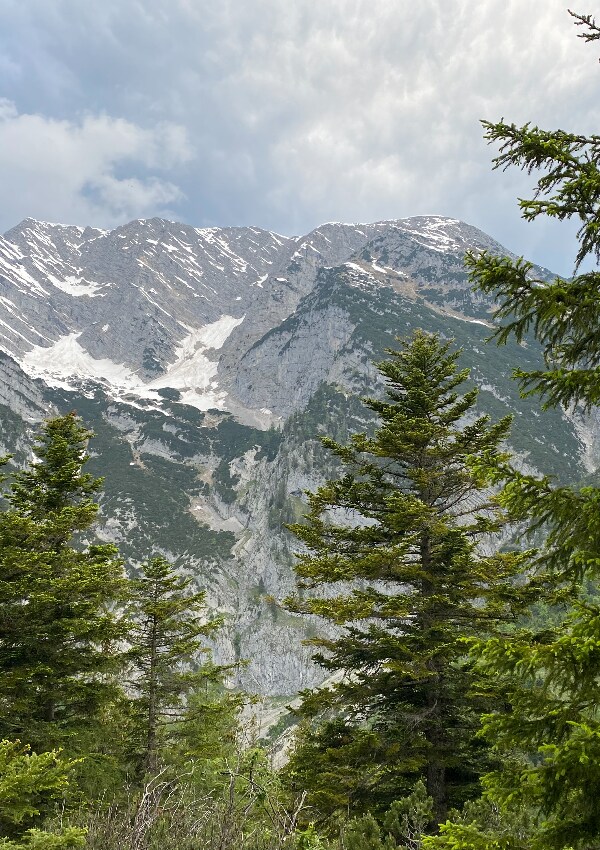 Tressenstein (summit)