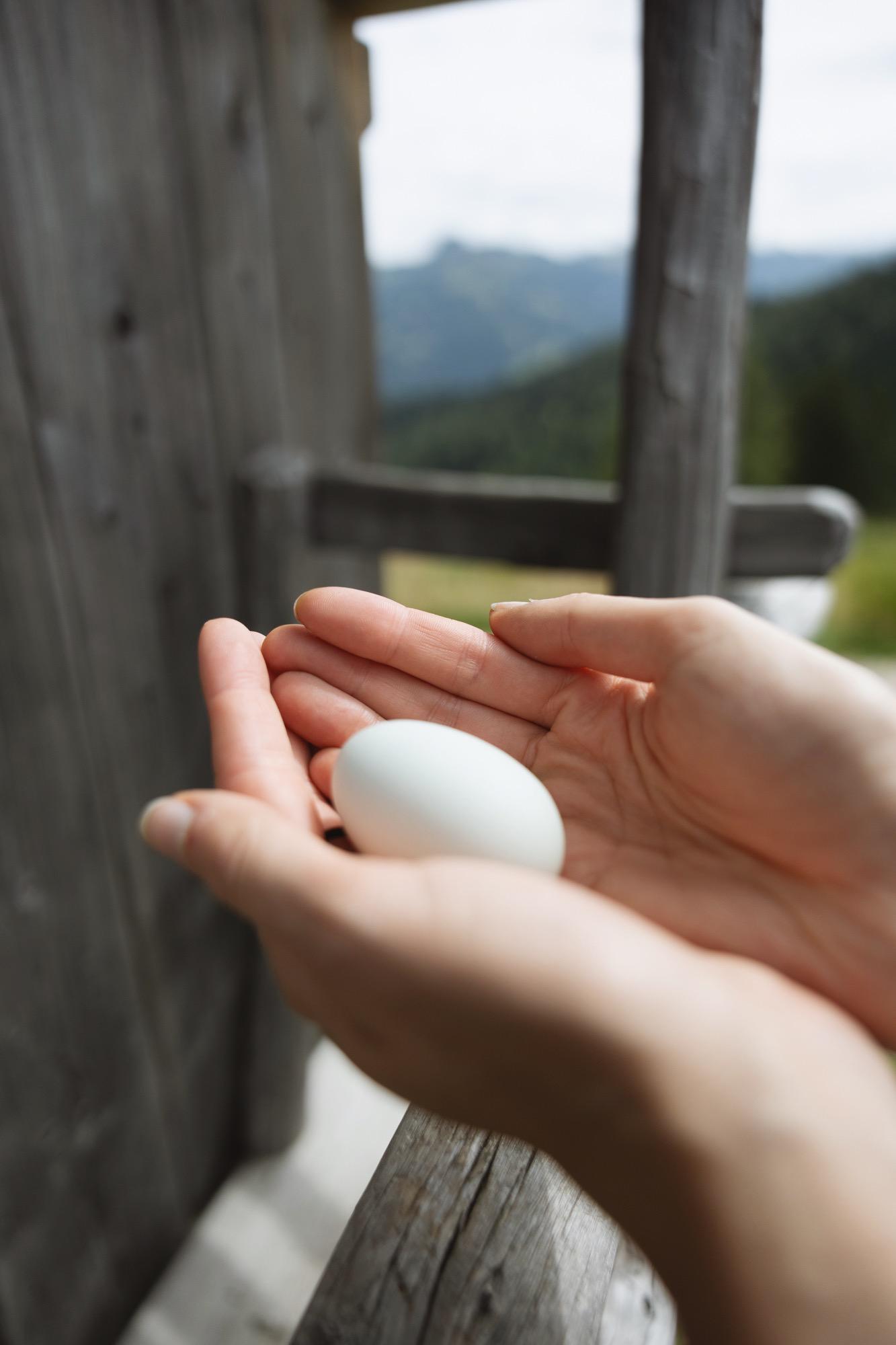 Hol dir dein Frühstücksei