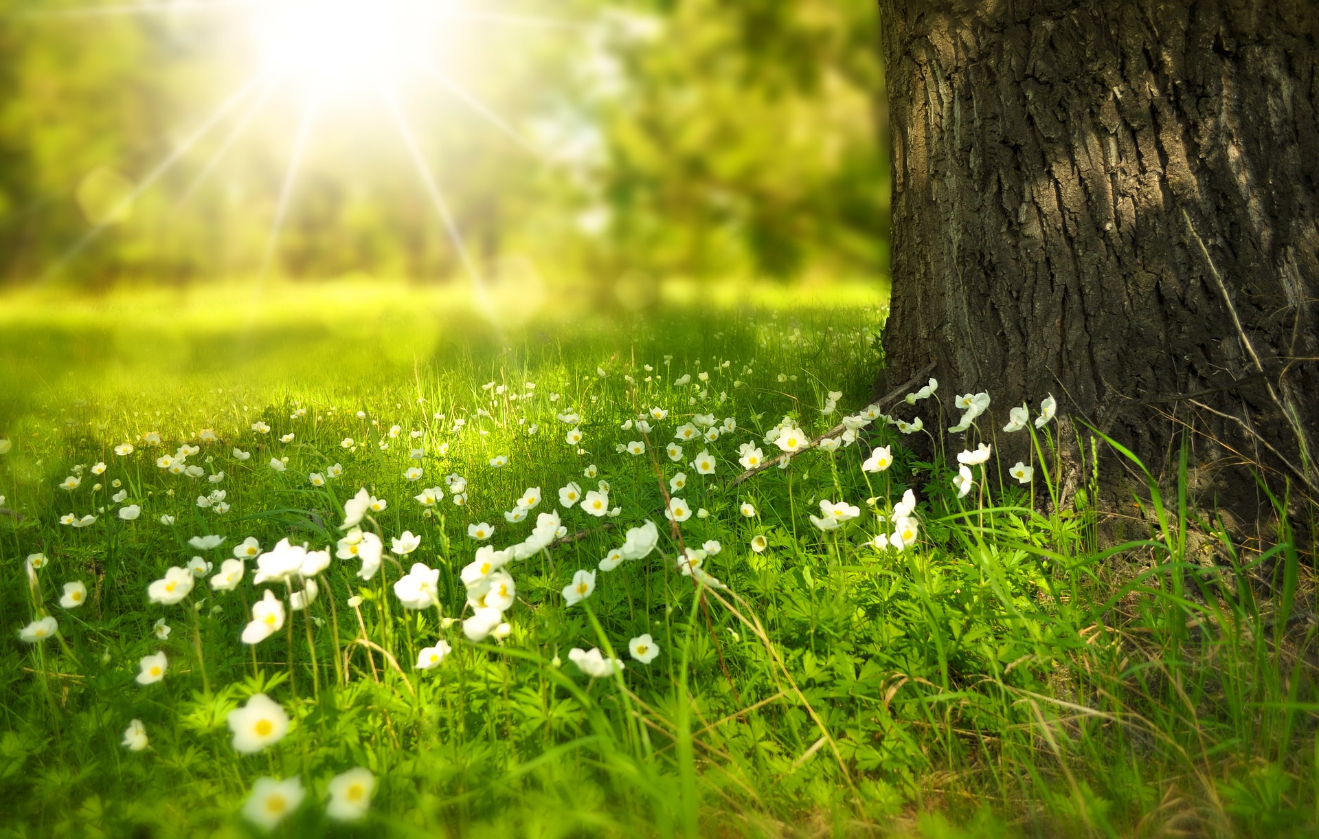 Frühjahrswanderwoche (09.-17.05.2026)