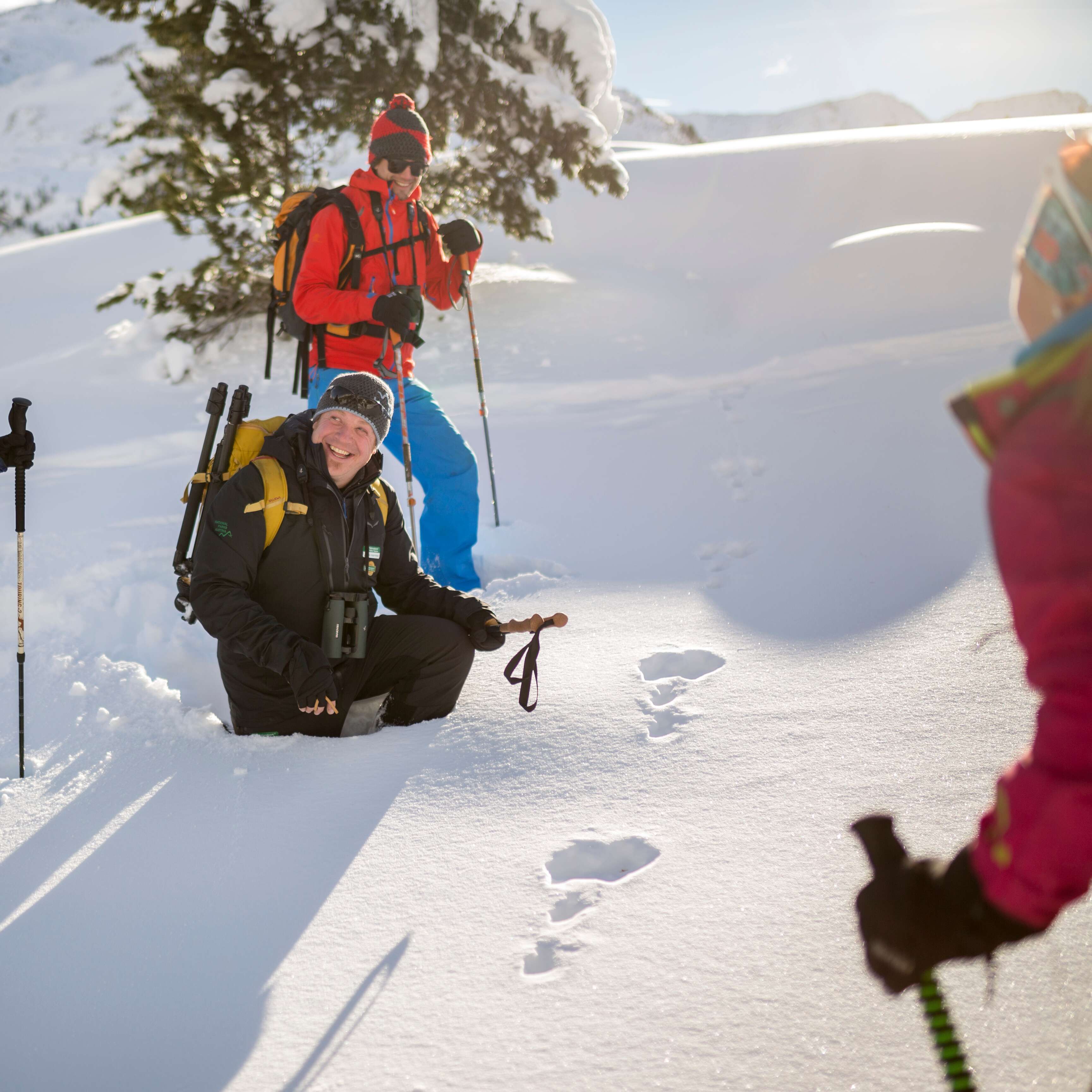 NATURE WATCH - winter magic in the Virgental Valley.