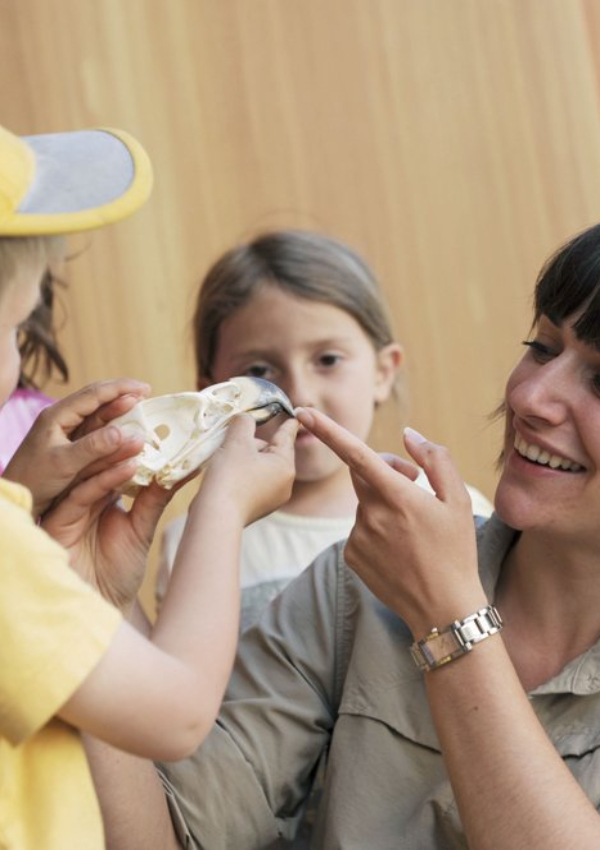 Anfassen erwünscht: Museumsbesuch image