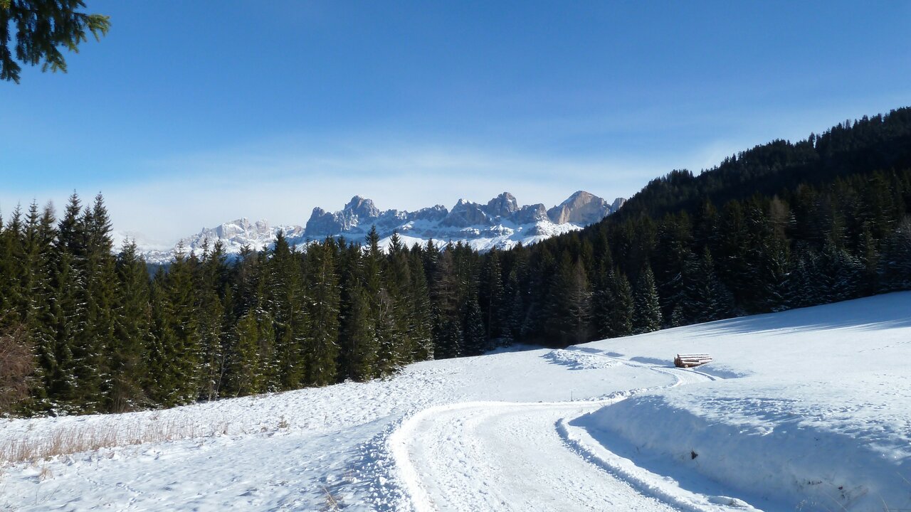 Winterwanderung zum Häusler Sam