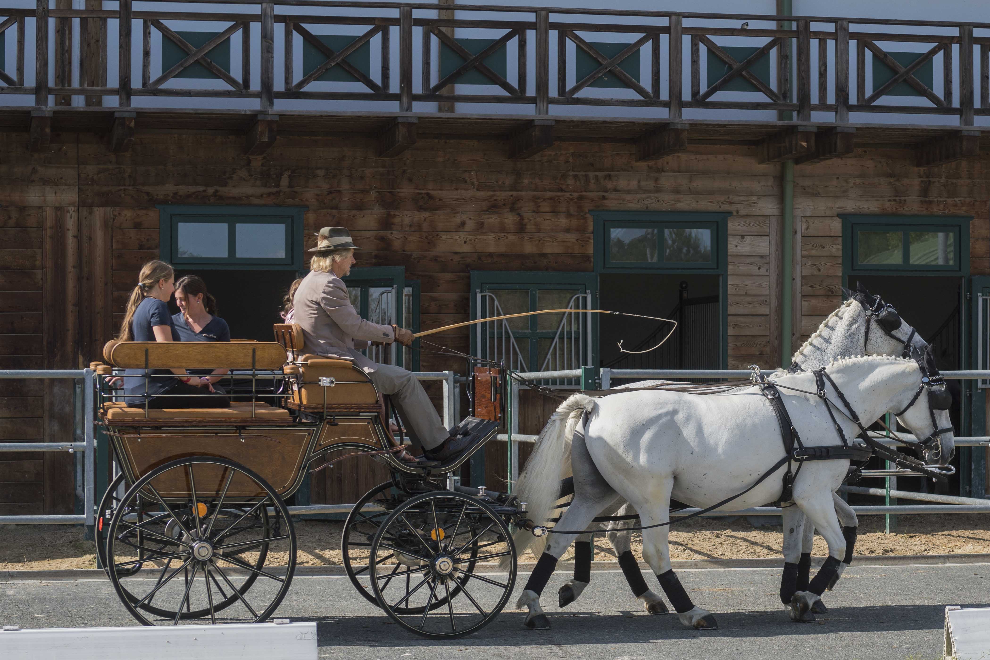 Carriage ride