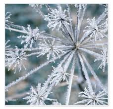 Aufguss - WINTERDREAM