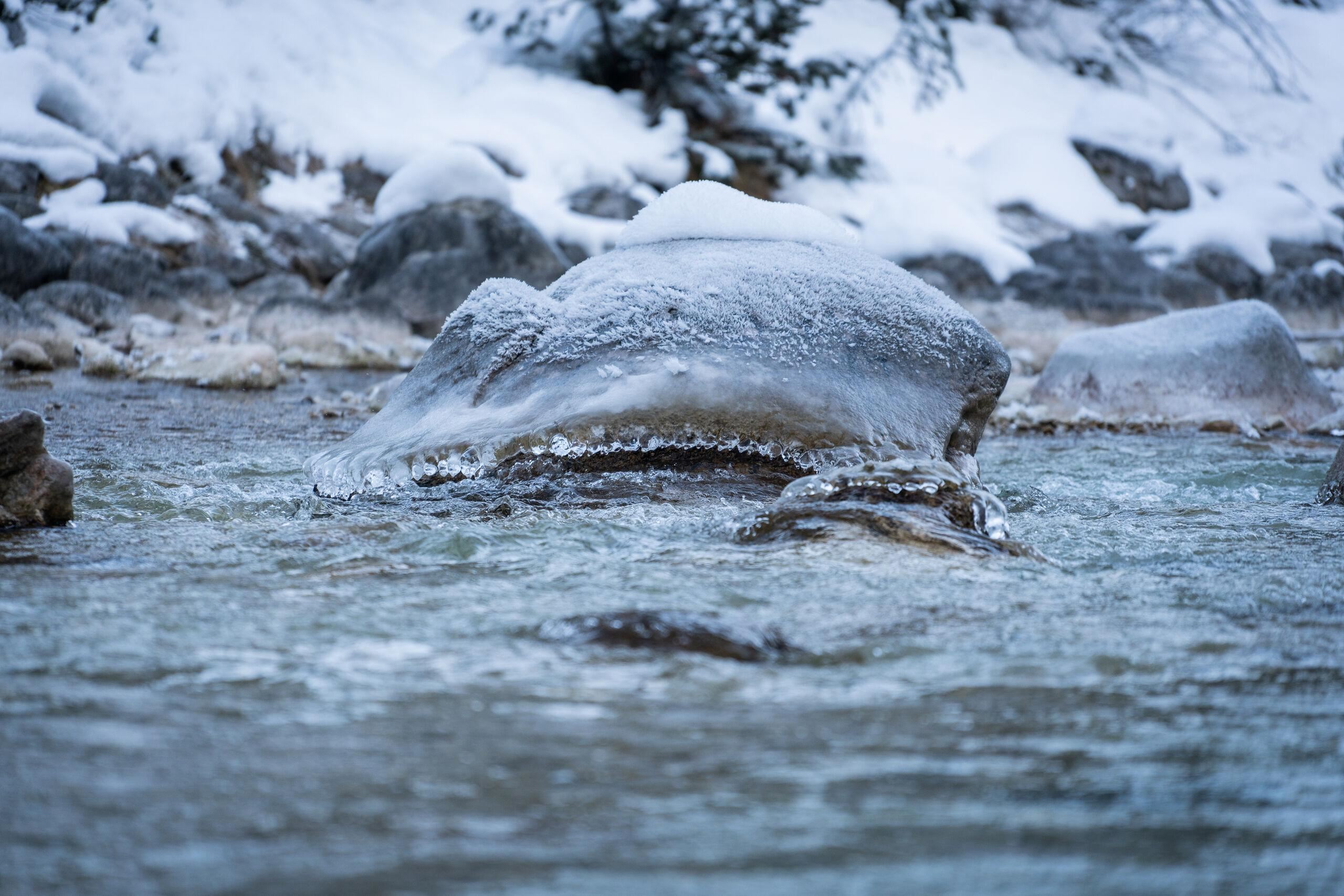Eisbaden an der Isar 
