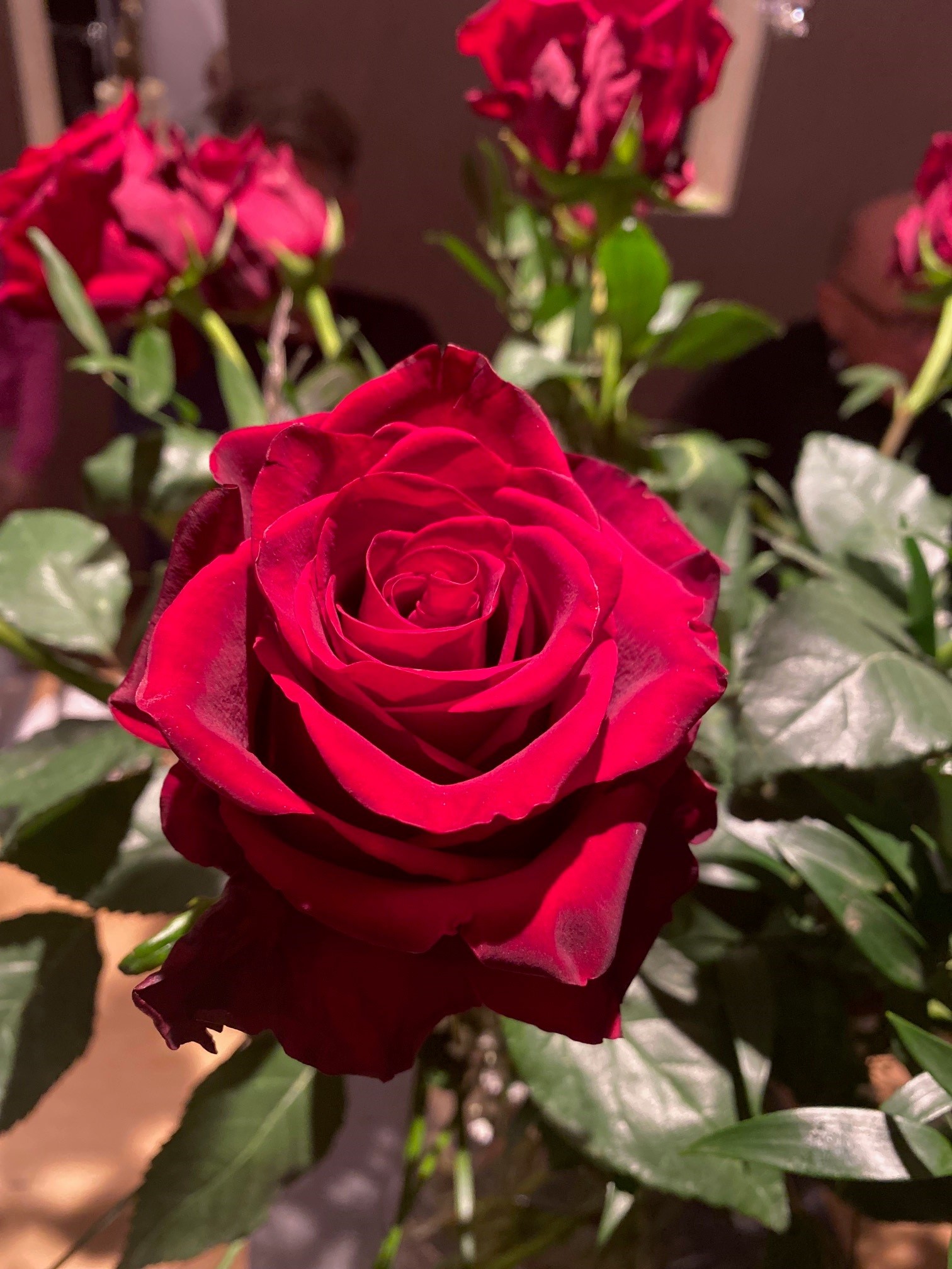 LOVE surprise
