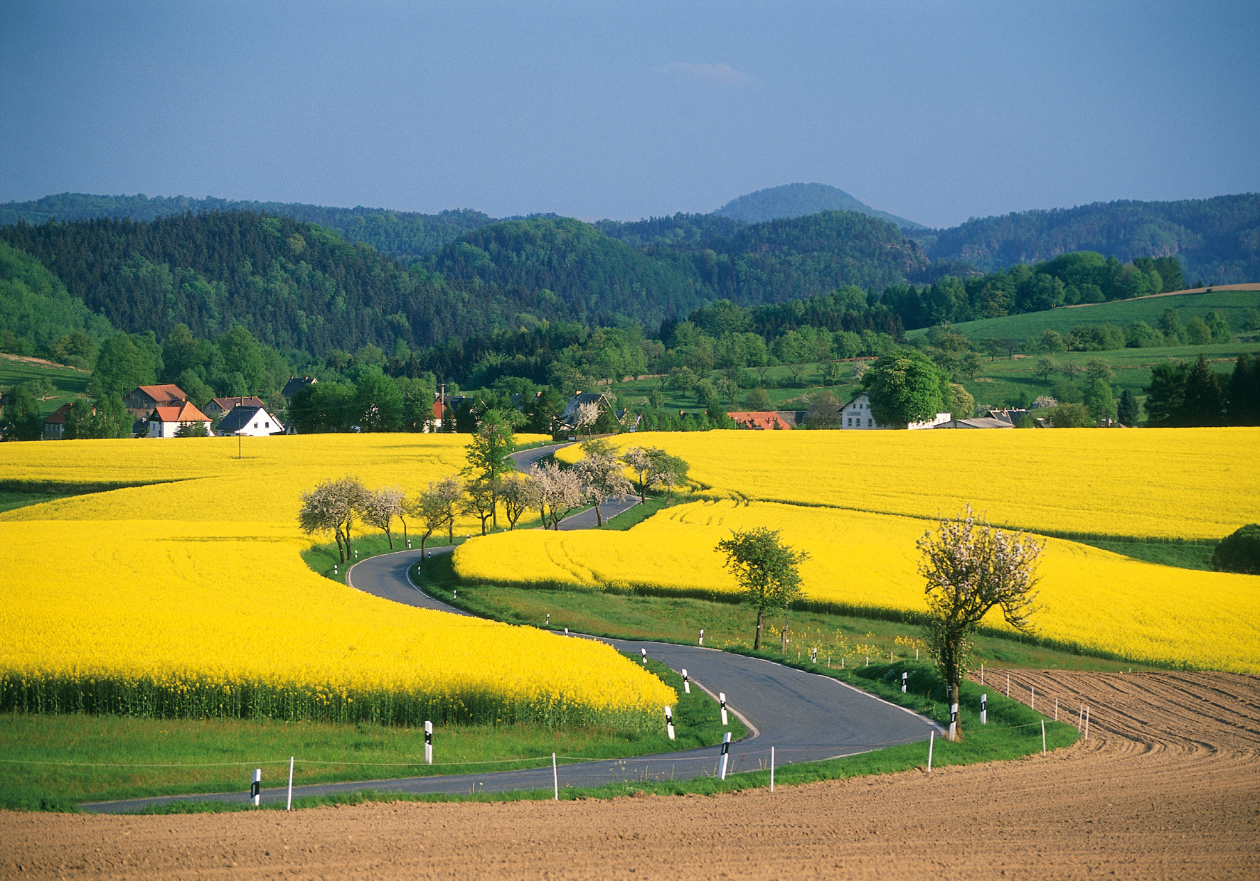 Rothenburg ob der Tauber (25 min.) - Nördlingen (40 min.) - Dinkelsbühl (10 min.)