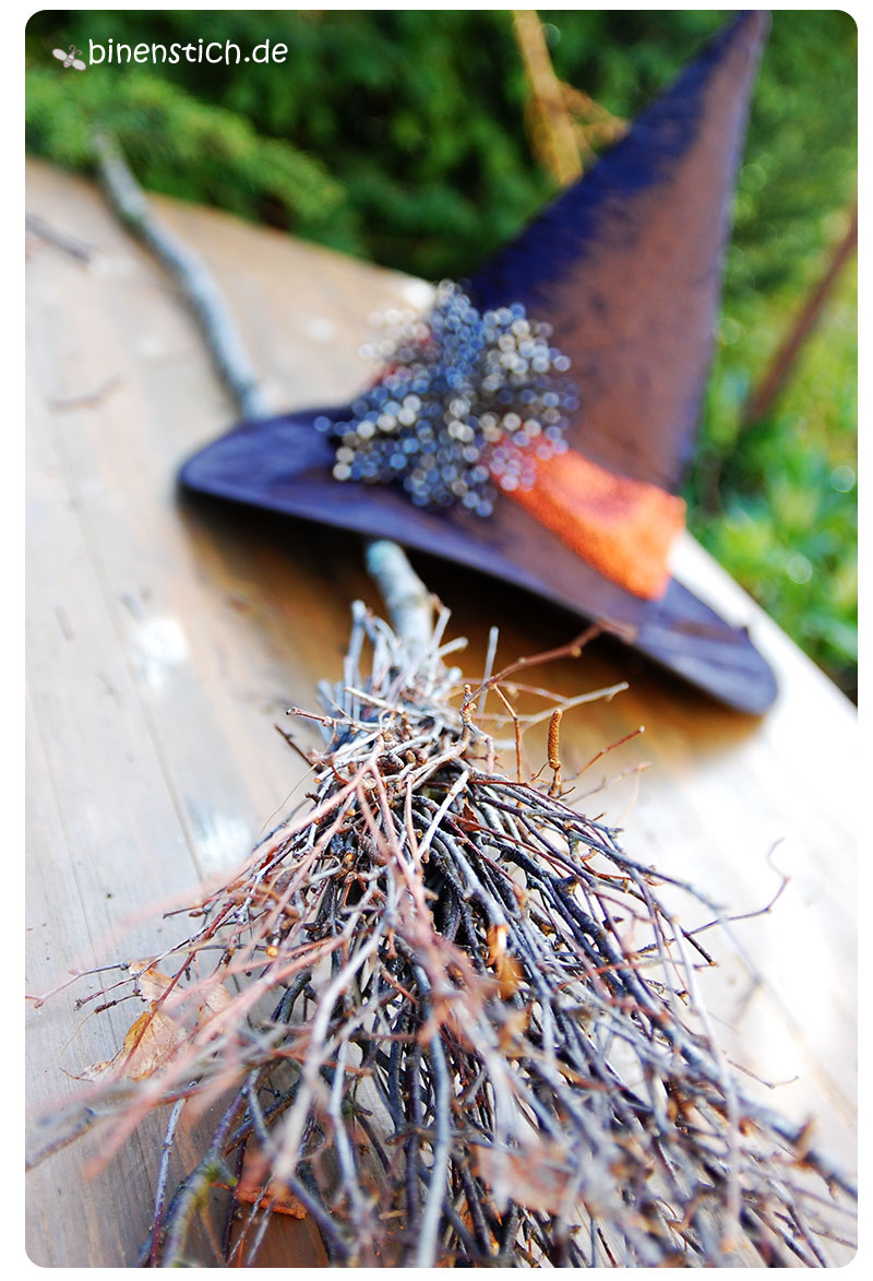 Mysterious witch broom search