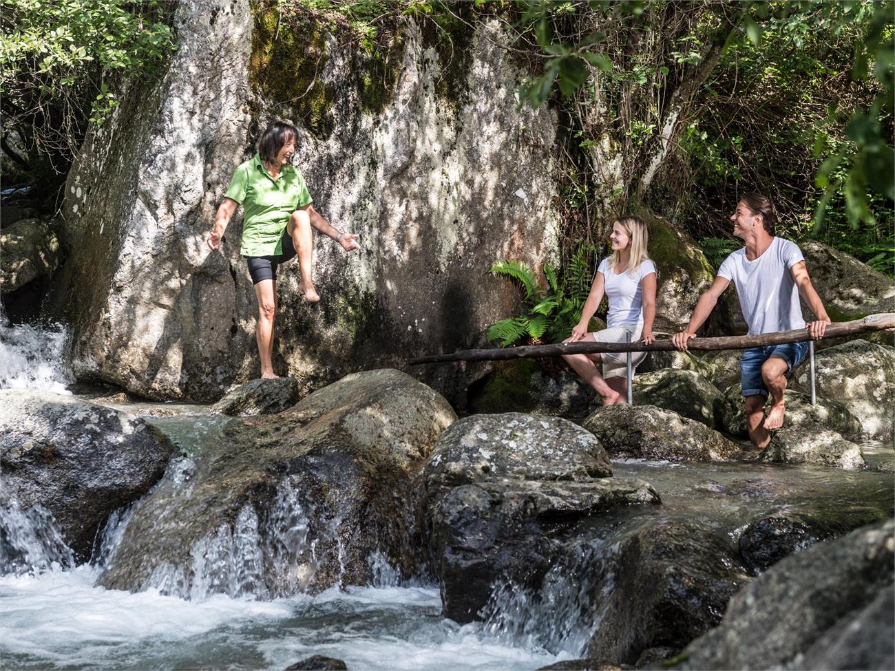 Herbs and
Kneipp hike at the
Rablander pond