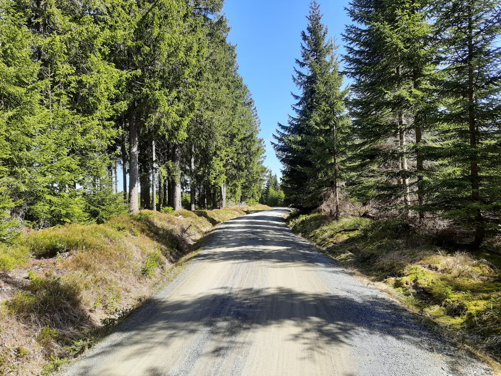 Rathaushotels Sommer Tour 6: Der Kreuzbrückfelsen in Oberwiesenthal