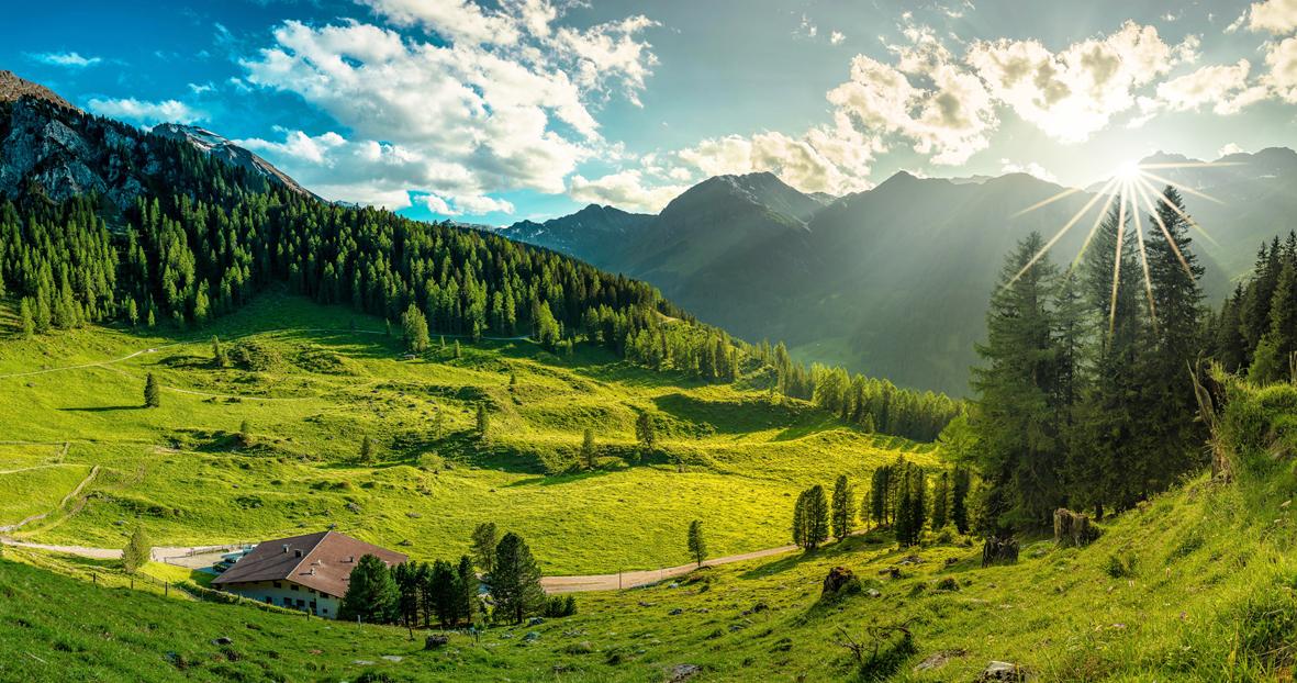 Unterwegs im Reich von Zirbe und Tannenhäher