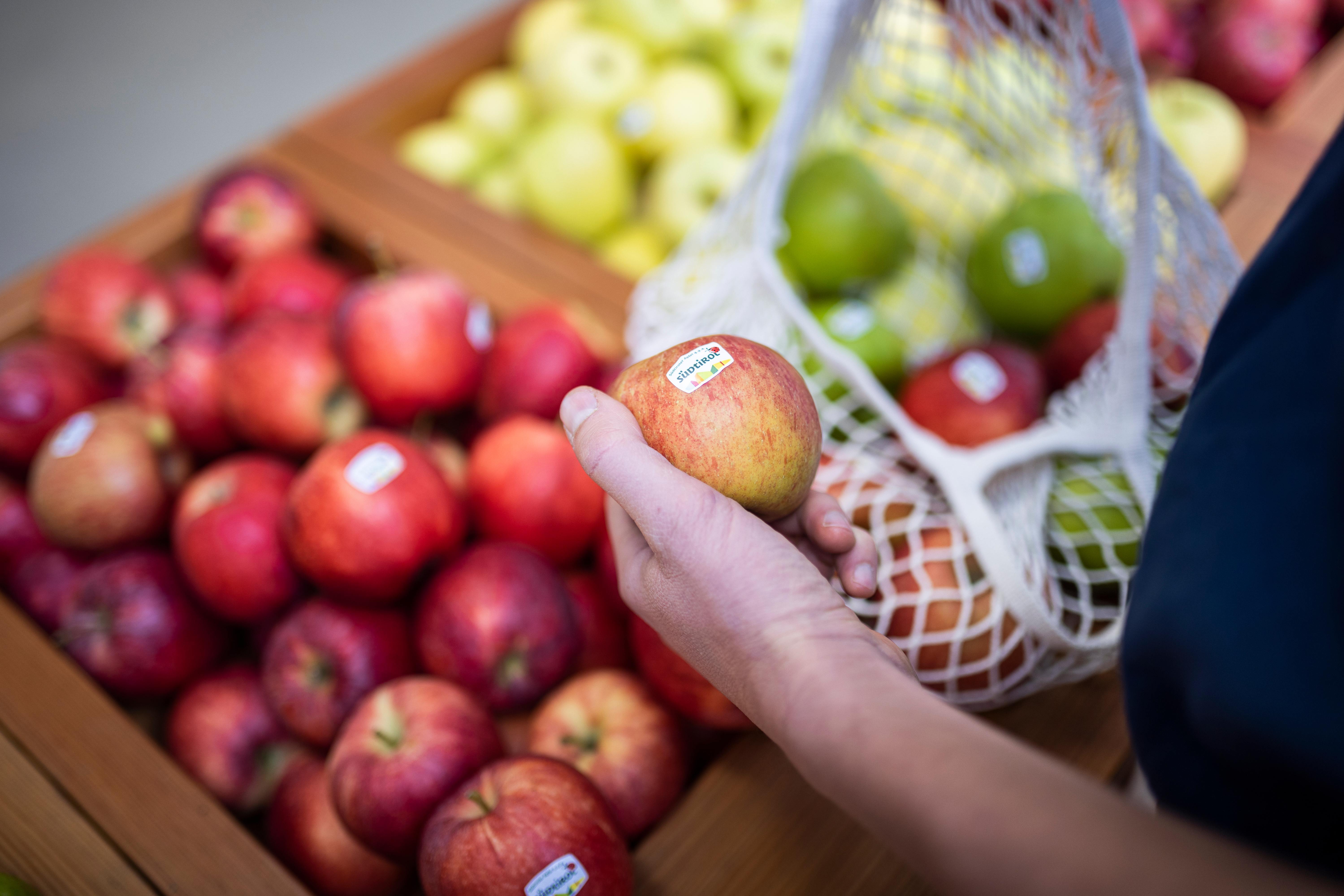 Führung durch die Obstgenossenschaft MIVOR