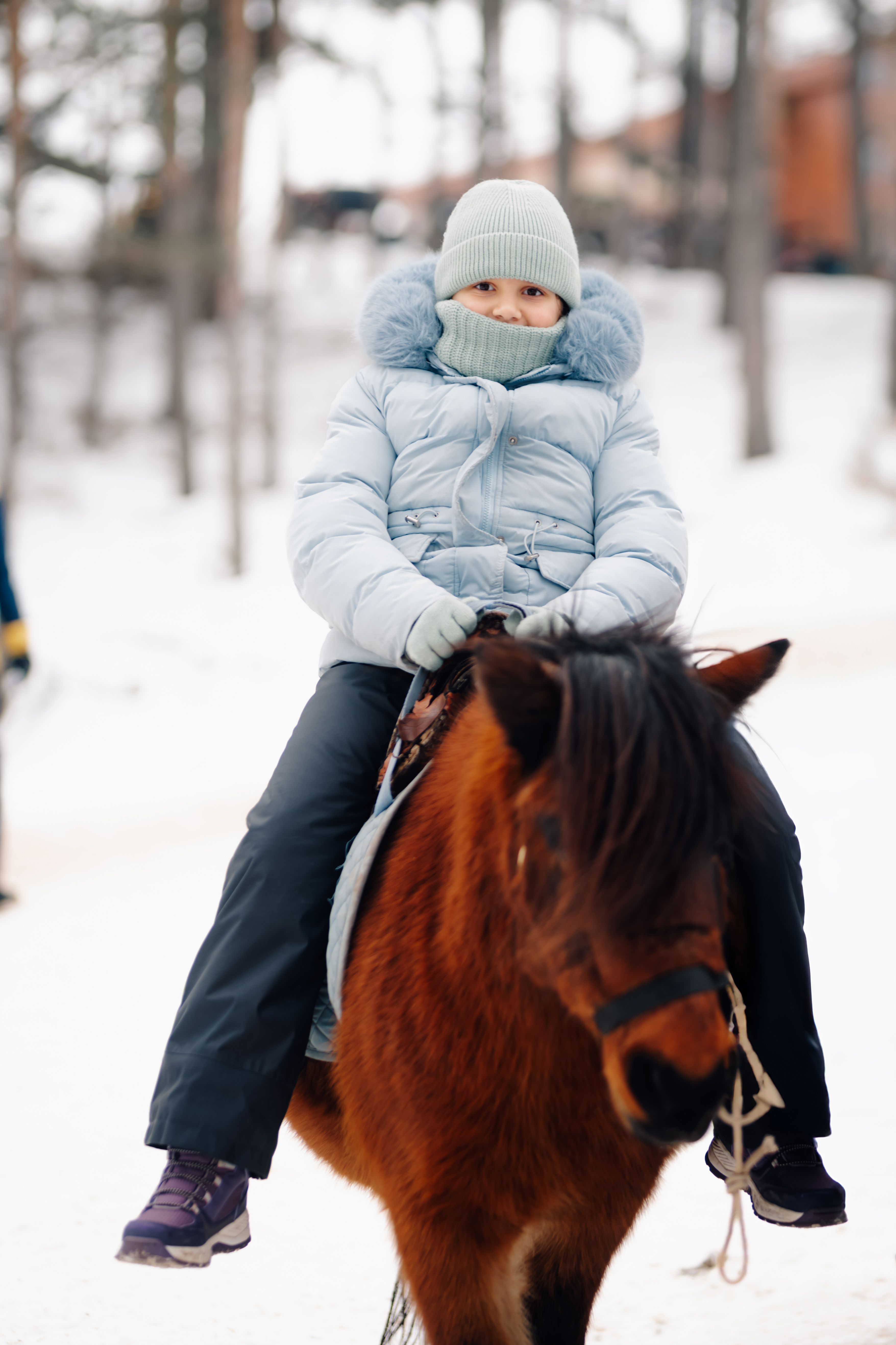 Pony riding in winter