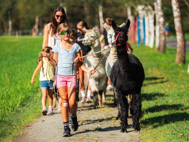 Familientag - Alpakawanderung mit Gold- und Edelsteinsuche